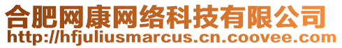 合肥網(wǎng)康網(wǎng)絡(luò)科技有限公司