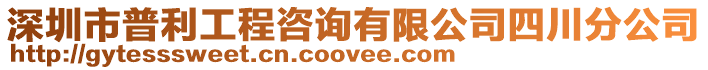 深圳市普利工程咨詢有限公司四川分公司