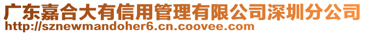 廣東嘉合大有信用管理有限公司深圳分公司