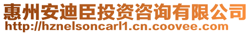 惠州安迪臣投資咨詢有限公司