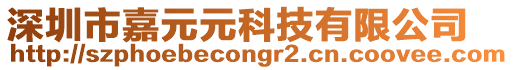 深圳市嘉元元科技有限公司