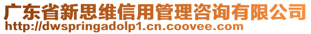 廣東省新思維信用管理咨詢有限公司