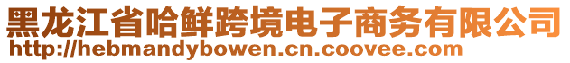 黑龍江省哈鮮跨境電子商務(wù)有限公司