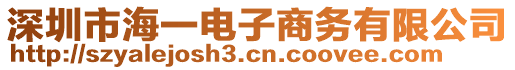 深圳市海一電子商務有限公司