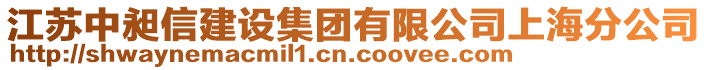 江蘇中昶信建設(shè)集團(tuán)有限公司上海分公司