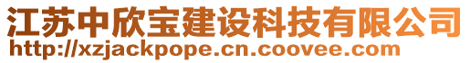 江蘇中欣寶建設(shè)科技有限公司