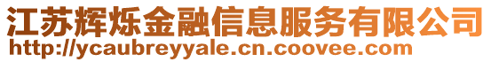 江蘇輝爍金融信息服務(wù)有限公司