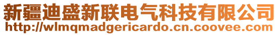 新疆迪盛新聯(lián)電氣科技有限公司