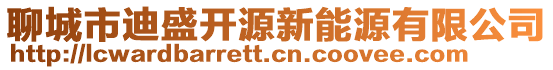 聊城市迪盛開源新能源有限公司