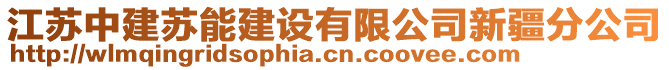 江蘇中建蘇能建設有限公司新疆分公司
