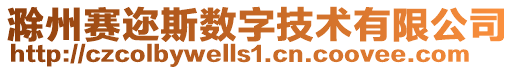 滁州賽邇斯數(shù)字技術(shù)有限公司