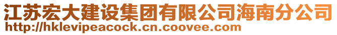 江蘇宏大建設集團有限公司海南分公司