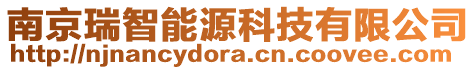 南京瑞智能源科技有限公司