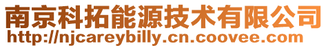 南京科拓能源技術有限公司