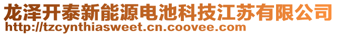 龍澤開泰新能源電池科技江蘇有限公司