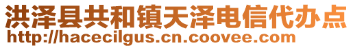 洪澤縣共和鎮(zhèn)天澤電信代辦點(diǎn)