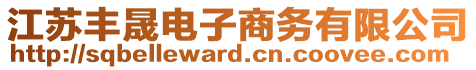 江蘇豐晟電子商務(wù)有限公司