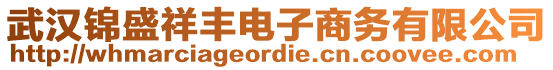 武漢錦盛祥豐電子商務有限公司