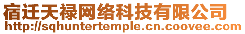 宿遷天祿網絡科技有限公司
