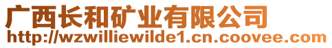 廣西長和礦業(yè)有限公司