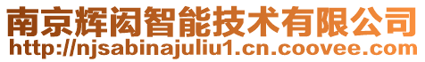 南京輝閎智能技術有限公司