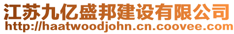 江蘇九億盛邦建設有限公司