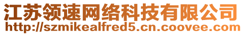 江蘇領(lǐng)速網(wǎng)絡(luò)科技有限公司