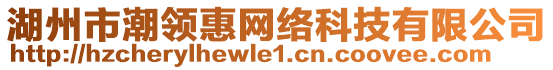 湖州市潮領(lǐng)惠網(wǎng)絡(luò)科技有限公司