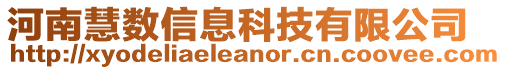 河南慧數(shù)信息科技有限公司