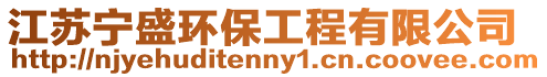 江蘇寧盛環保工程有限公司