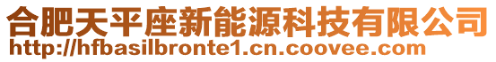 合肥天平座新能源科技有限公司