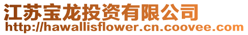 江蘇寶龍投資有限公司