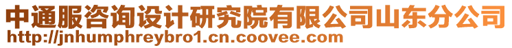 中通服咨詢?cè)O(shè)計(jì)研究院有限公司山東分公司