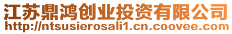 江蘇鼎鴻創(chuàng)業(yè)投資有限公司