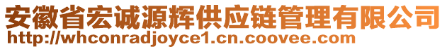 安徽省宏誠源輝供應(yīng)鏈管理有限公司