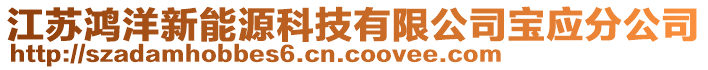 江蘇鴻洋新能源科技有限公司寶應(yīng)分公司