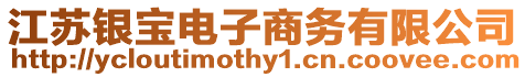 江蘇銀寶電子商務(wù)有限公司