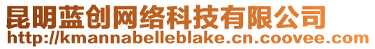 昆明藍(lán)創(chuàng)網(wǎng)絡(luò)科技有限公司