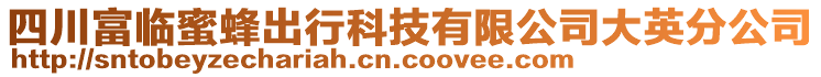 四川富臨蜜蜂出行科技有限公司大英分公司