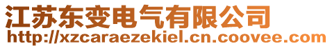江蘇東變電氣有限公司