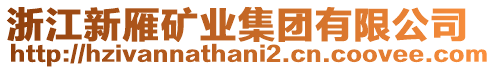 浙江新雁礦業(yè)集團(tuán)有限公司