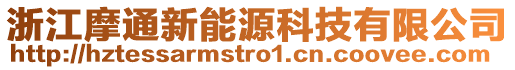 浙江摩通新能源科技有限公司