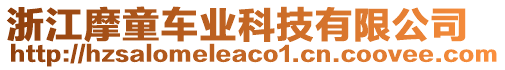 浙江摩童車業科技有限公司