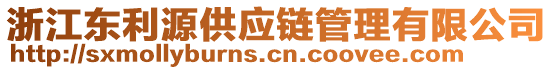 浙江東利源供應鏈管理有限公司