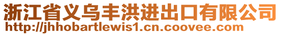 浙江省義烏豐洪進出口有限公司