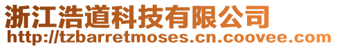 浙江浩道科技有限公司