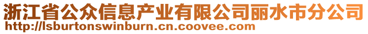 浙江省公眾信息產(chǎn)業(yè)有限公司麗水市分公司