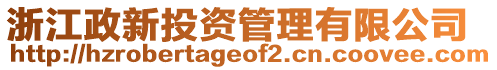 浙江政新投資管理有限公司