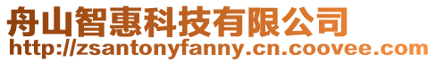 舟山智惠科技有限公司