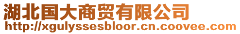湖北國大商貿(mào)有限公司